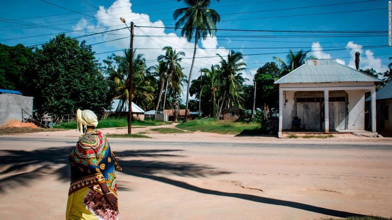モザンビーク・パルマの街中を歩く女性＝１７年２月
