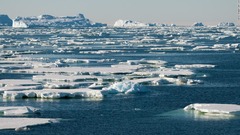 南極融解、対策皆無なら深刻な脅威に　科学者がシナリオ提示