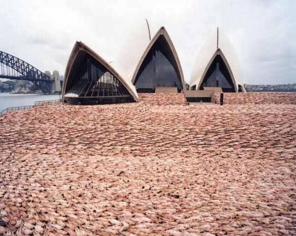シドニーのオペラハウスを舞台にした２０１０年の作品 Credit: Spencer Tunick