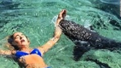 海で写真撮影中の女性、サメに噛みつかれ海中へ　バハマ