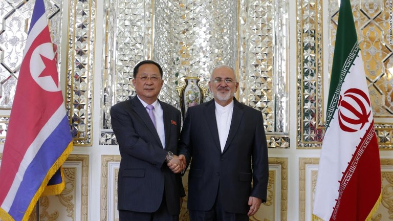 北朝鮮の李容浩外相が７日、イランのザリフ外相と会談した/ATTA KENARE/AFP/Getty Images
