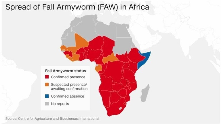 アフリカ各地で壊滅的な被害が出ている/CNN