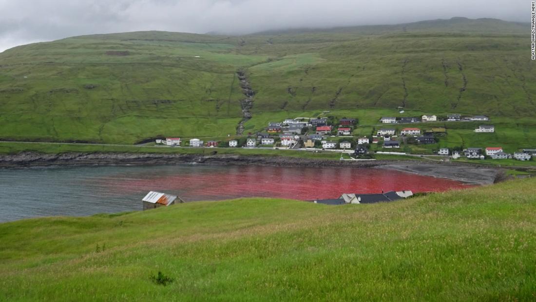 入り江はクジラの血で赤く染まった