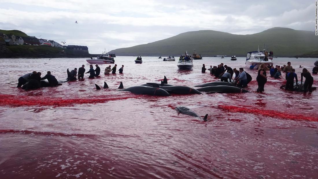 クジラ漁に参加する人々