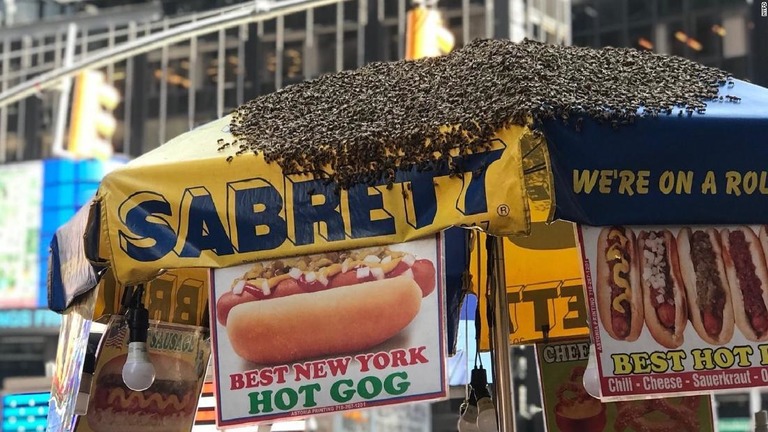 タイムズスクエアにミツバチの大群が襲来。ホットドッグの屋台で一休み？/NYPD