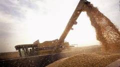 米国産大豆への報復関税、中国の農家に打撃か　米中貿易摩擦