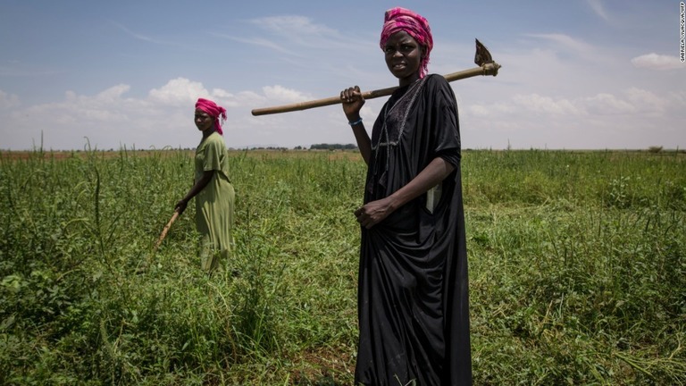 アフリカ北東部のスーダンで農業に従事する女性/Gabriela Vivacqua/WFP