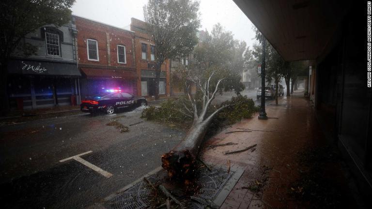 ハリケーンによって倒れた樹木＝１４日、ノースカロライナ州ニューバーン/Atilgan Ozdil/Anadolu Agency/Getty Images