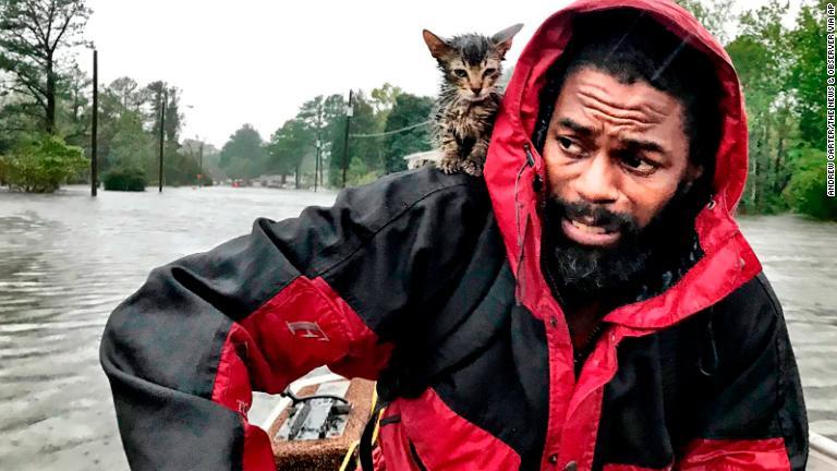 子猫とともに避難する男性＝１４日、ノースカロライナ州ニューバーン/Andrew Carter/AP