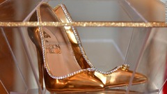 「パッション・ダイヤモンド・シューズ」と名付けられたこの靴は、ドバイのデザイナー、マリア・マジャリ氏が手掛けた
