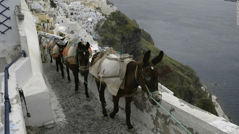 サントリーニ島で、太りすぎの観光客がロバに乗ることを禁止する通達が出された/Todd Warshaw/Getty Images