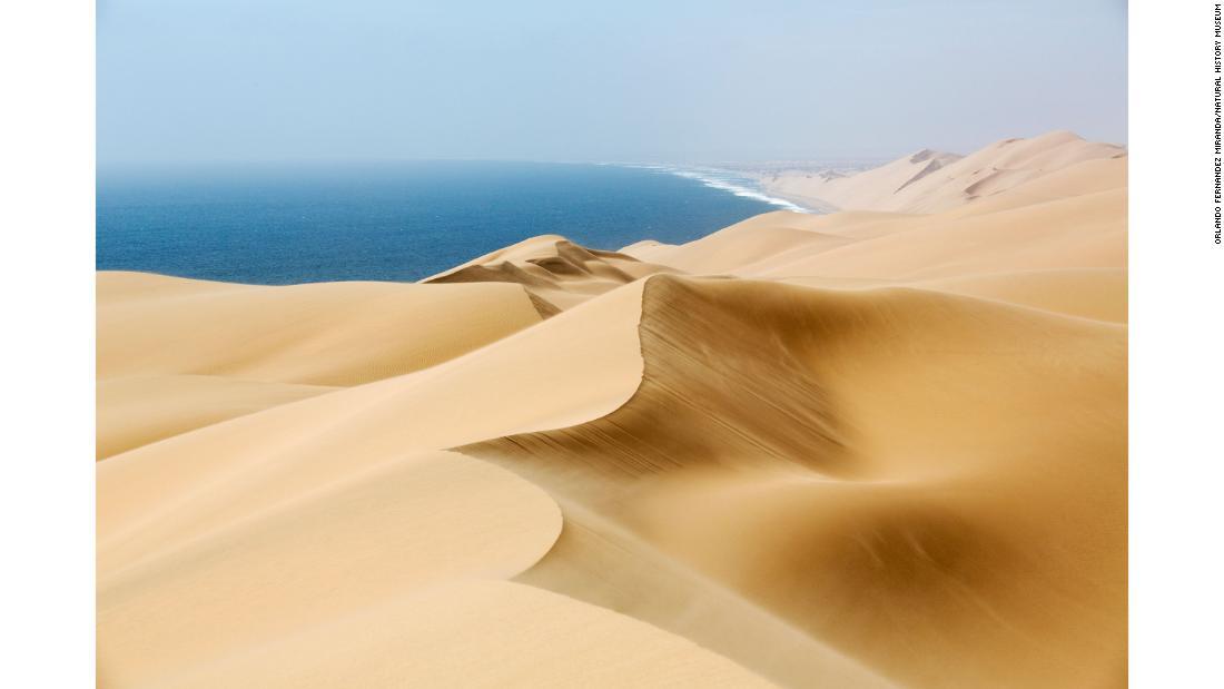 地球環境部門は、ナミビアの砂丘を撮影した作品。大西洋を望む海岸に、風が生んだ砂の造形が広がる/Orlando Fernandez Miranda/Natural History Museum