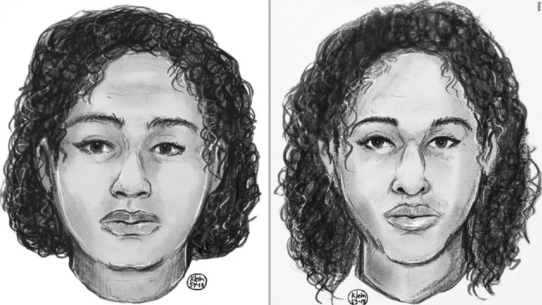 ニューヨークのハドソン川で見つかった女性２人の身元が判明/NYPD