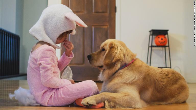 ハロウィーンのキャンディーを犬や猫が食べれば死ぬこともある。中でも砂糖不使用のお菓子や、レーズンやチョコレート入りのお菓子は、犬や猫の発作や臓器不全を引き起こしかねない/Elizabethsalleebauer/RooM RF/Getty Images