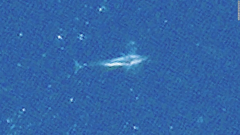 Cnn Co Jp 地中海のクジラを宇宙から観察 保護対策に人工衛星活用