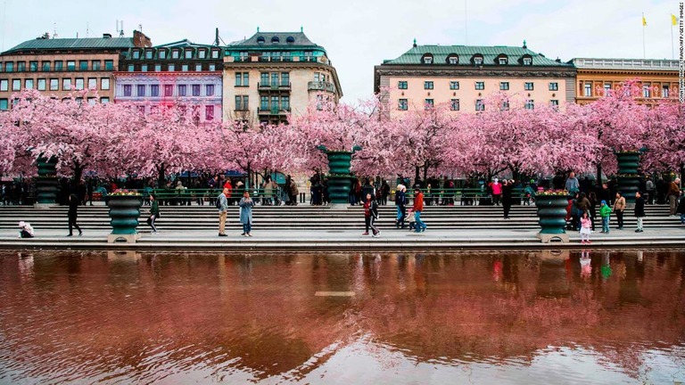 ストックホルムにあるキングスガーデンは人気の観光地だ/JONATHAN NACKSTRAND/AFP/Getty Images