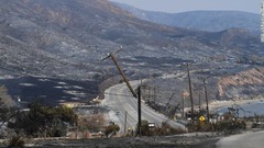 火災によって焼け落ちた山腹と傾いた電柱＝１０日、カリフォルニア州マリブ近郊