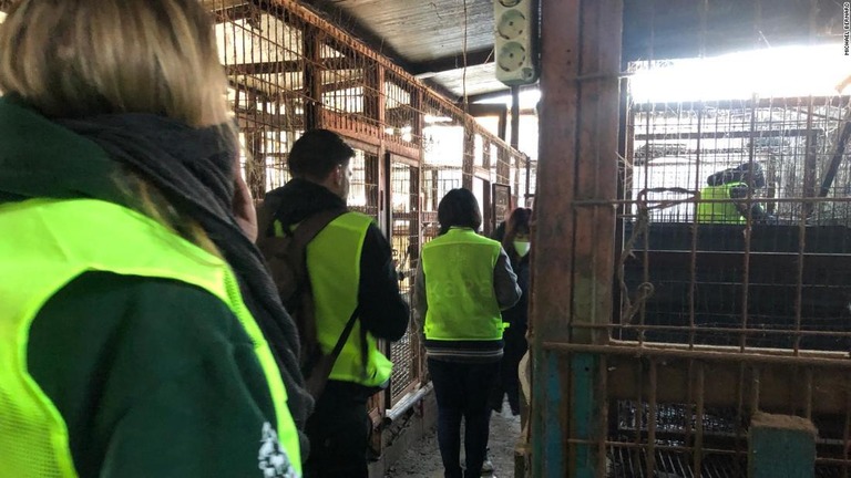 動物保護団体の担当者が閉鎖された食肉処理場を調べる様子/Michael Bernard