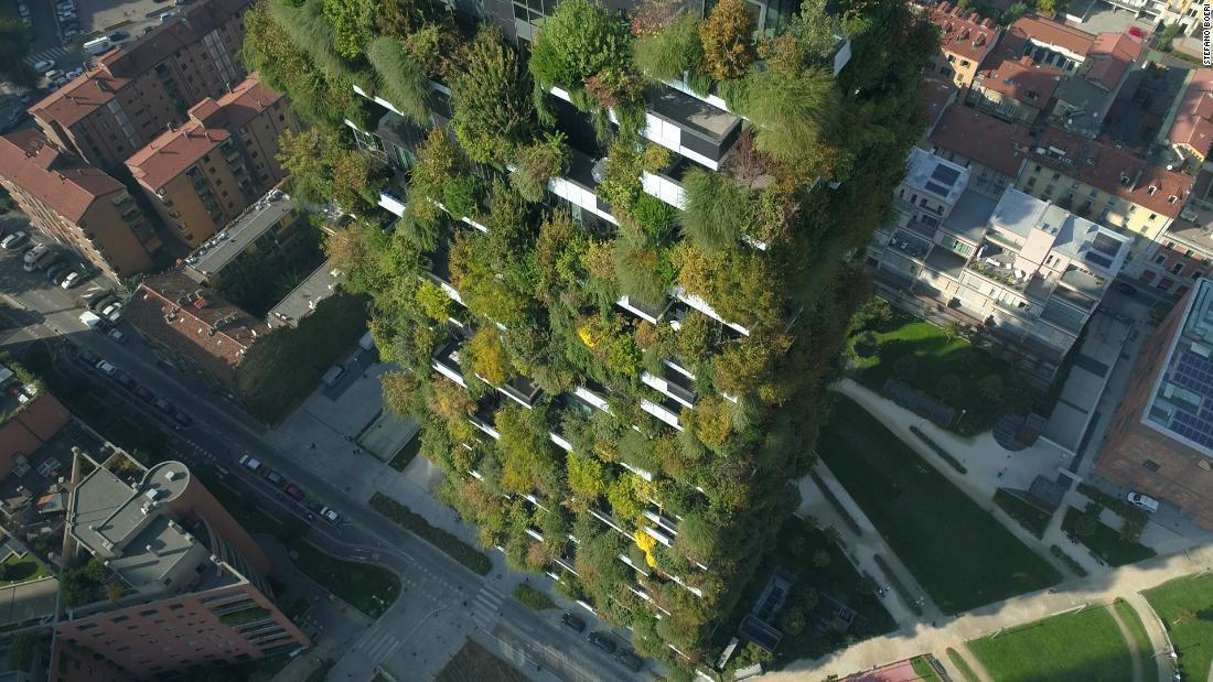 ２つのタワーに生い茂る緑の量は森林地帯にすると２１万５０００平方フィート以上に相当するという/Stefano Boeri