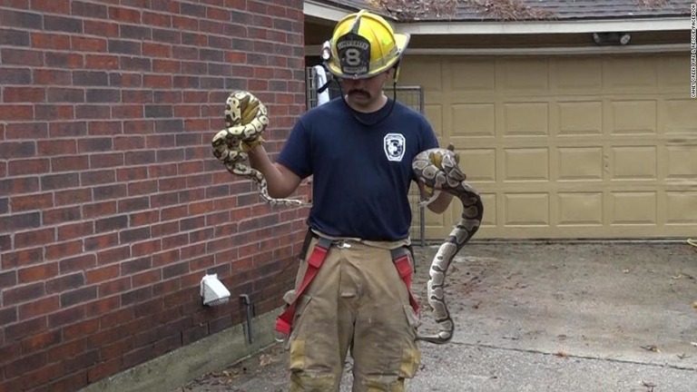 １００匹以上のヘビやトカゲなどの爬虫類を発見した/Caney Creek Fire & Rescue/Facebook 