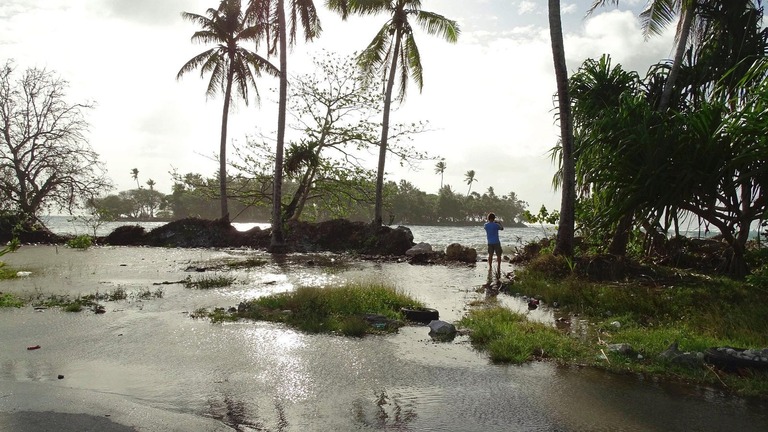 気候変動に伴う海面上昇で水没の危機にさらされているマーシャル諸島の島/Hilary Hosia/Getty Images