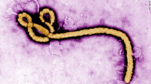 コンゴ民主共和国で医療支援を提供していた米国人１人がエボラウイルスに接触した疑い/CDC/GETTY