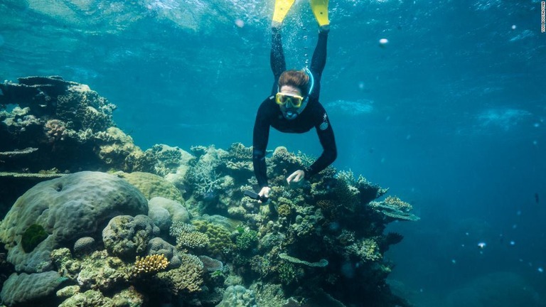 世界の海水温がこれまでの推計を上回るペースで上昇しているという/Tom Booth/CNN