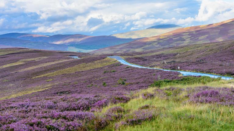 英国本島で最も荒涼とした場所の1つとされているスコットランドのケアンゴームズ国立公園/Shutterstock