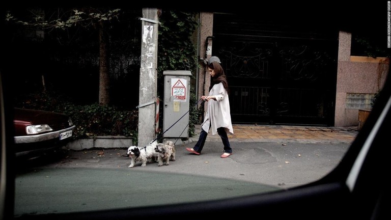 イランの首都で、公共の場での犬の散歩が禁止に/BEHROUZ MEHRI/AFP/Getty Images