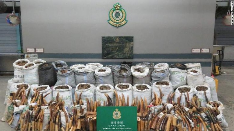 象牙など押収された品々/Hong Kong customs