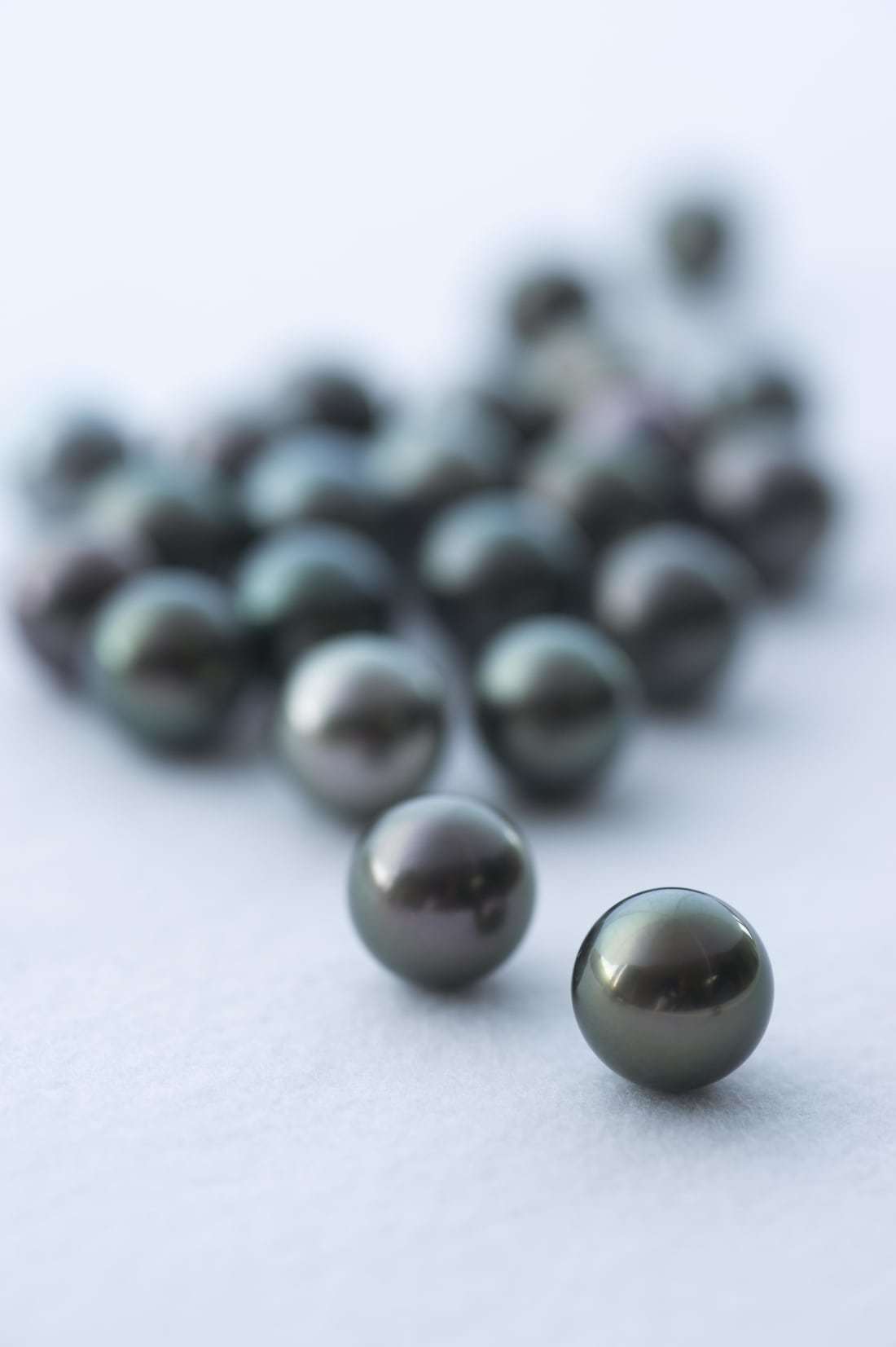 真珠は、砂や骨片といった異物が貝などの軟体動物の体内に入り込むことにより自然に生成される/TASAKI