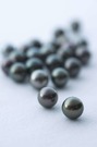 真珠は、砂や骨片といった異物が貝などの軟体動物の体内に入り込むことにより自然に生成される