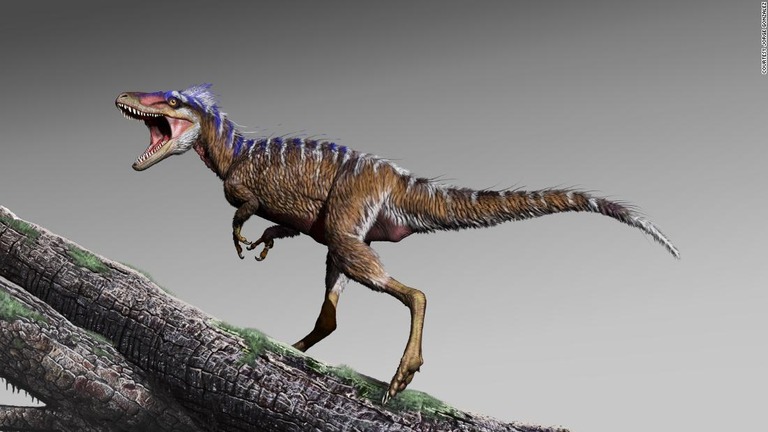 米ユタ州の白亜紀の地層から化石が見つかった小型のティラノサウルスの想像図/Courtesy Jorge Gonzalez