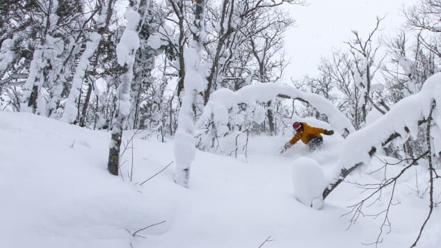 米中西部最大規模の降雪量を誇るミシガン州のボヘミア山/Courtesy of Joey Wallis