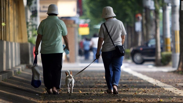 高齢者による犬の散歩は骨折の危険性が高まるとの調査結果が発表された/Shutterstock 