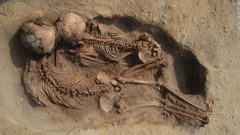 子ども１３７人とラマ２００頭、心臓抜かれ生贄に　ペルー古代文明の遺跡で発掘