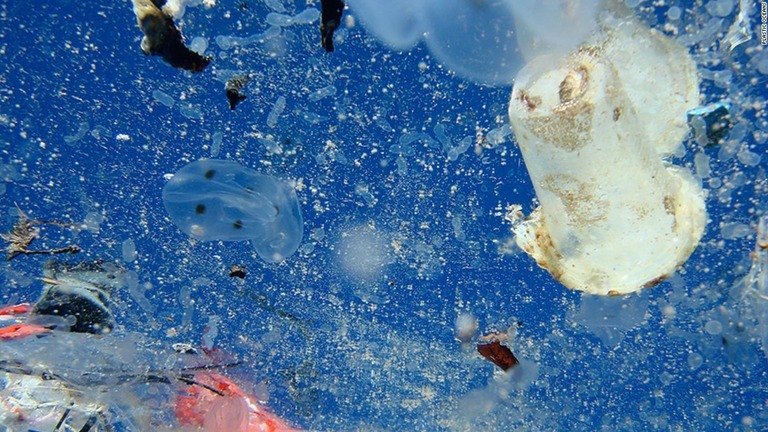 海洋汚染対策として、欧州連合（ＥＵ）が使い捨てプラスチックの使用禁止に踏み切る/plastic oceans