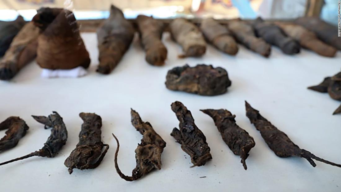 ネコやネズミなど動物のミイラが発見された/Egypt Ministry of Antiquities