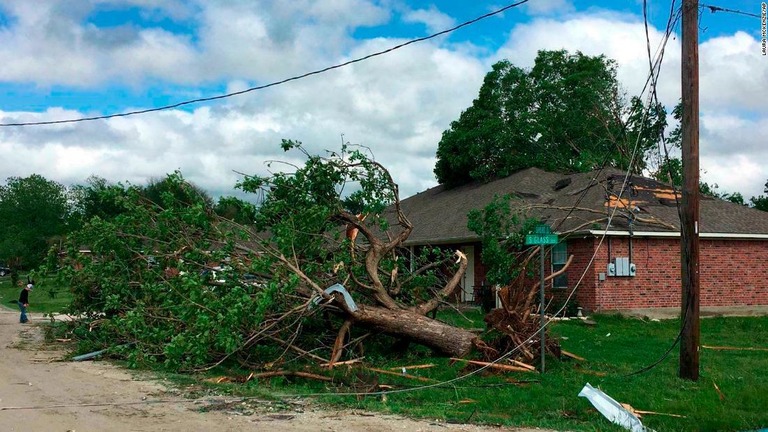 テキサス州を襲った強風でなぎ倒された樹木/Laura McKenzie/AP