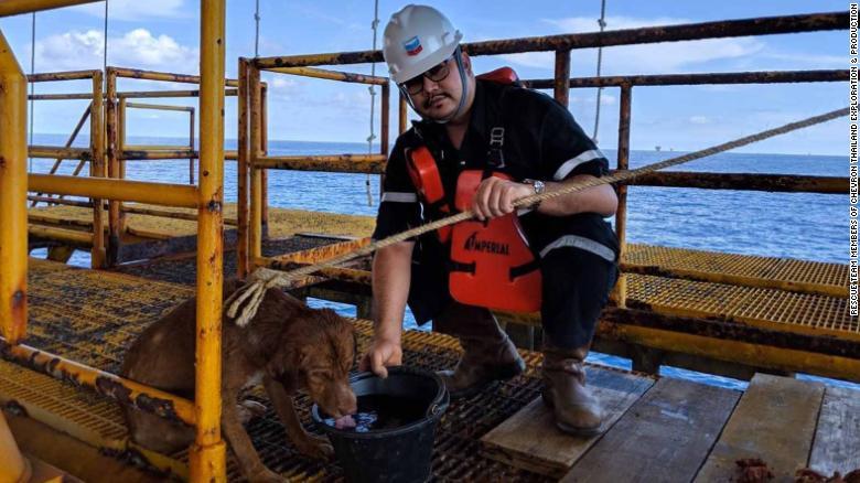 作業員らはロープを投げて犬を引き上げた/Rescue Team members of Chevron Thailand Exploration & Production