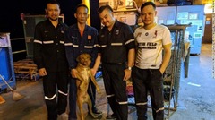 ブーンロッドはタイ本土に送られ動物愛護団体が世話をする