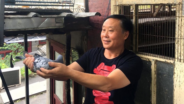 手塩に掛けて訓練したレース用の鳩を眺める中国の男性/Karoline Kan for CNN