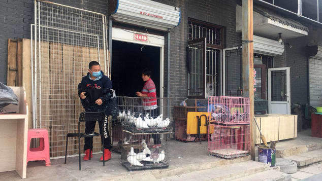 北京の街中で売られるレース用の鳩/Karoline Kan for CNN