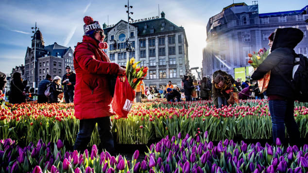 オランダを代表する花であるチューリップも多くの観光客を引き付けている/ROBIN UTRECHT / Contributor/ Getty