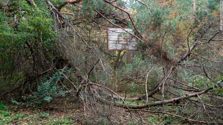 同氏の写真には、殺風景ではあるが、人工的な構造物を突き破って勢いよく生い茂る木や草花が写っている/Courtesy David McMillan