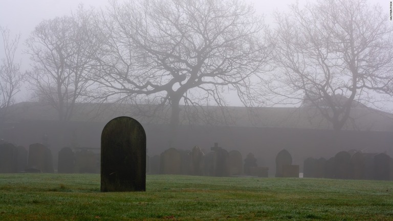 遺体の埋葬方法として火葬、土葬以外の第３の選択肢、堆肥化が加わった/shutterstock