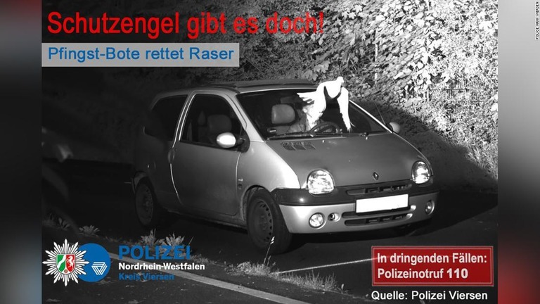 突如飛来したハトがドライバーの顔を隠し、速度違反の処罰が不可能となる事態に/Police NRW Viersen