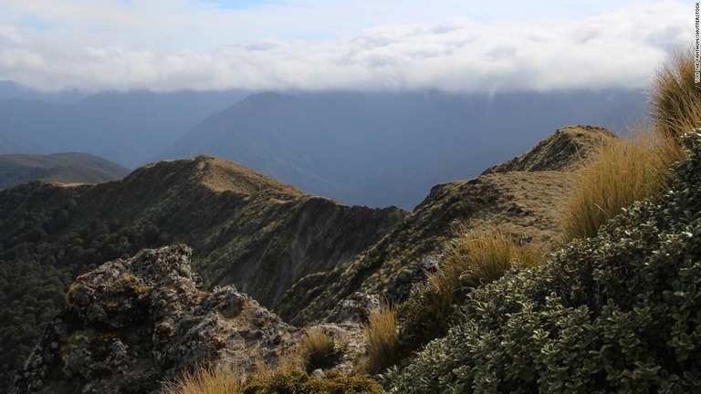 ニュージーランドで英国人登山者が行方不明になり、捜索活動が続いている/Tom the FanThom/Shutterstock