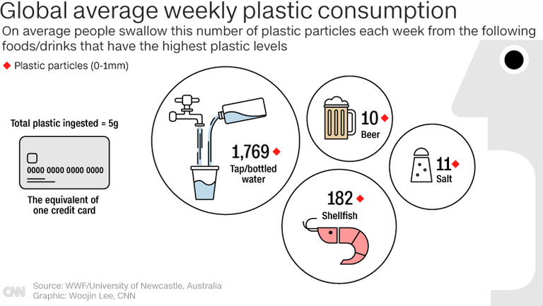 微小なプラスチック片を週に５グラム、クレジットカード１枚分摂取しているとの研究結果が出た。平均で飲み水から１７６９粒、貝類から１８２粒飲み込むという