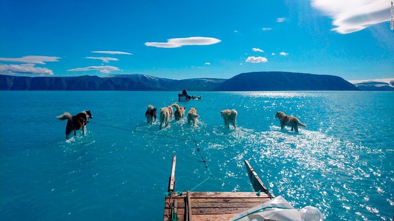 海氷が溶けた水を蹴立ててそりを引く犬たち/Steffen M. Olsen/AP